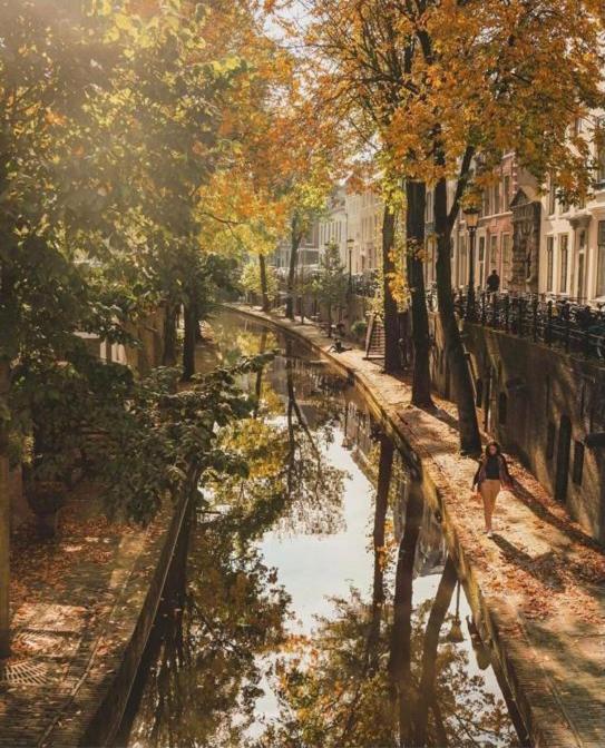 Vlinder'S Apartment Utrecht Ngoại thất bức ảnh